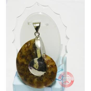 Ốc anh vũ hóa thạch