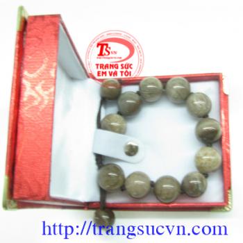 Chuỗi Gỗi hóa thạch