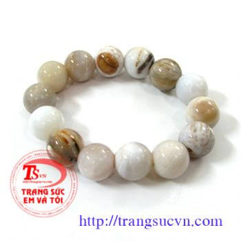 Lắc gỗ hóa thạch