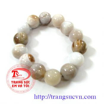 Lắc gỗ hóa thạch