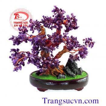 Cây đá thạch anh tím thiên nhiên