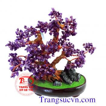 Cây đá thạch anh tím thiên nhiên