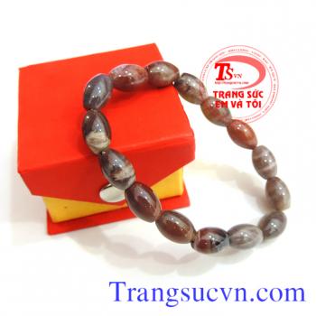 Gỗ hóa thạch nam