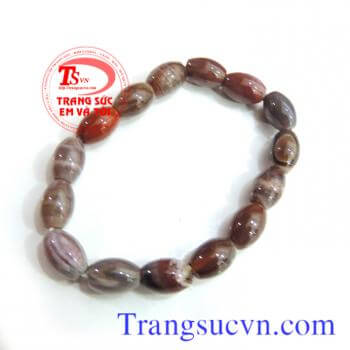 Gỗ hóa thạch nam