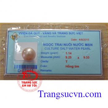 Ngọc trai hồng tím