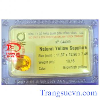 Viên Sapphire vàng 10 ct
