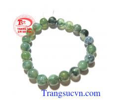 Vòng Canxedon trong