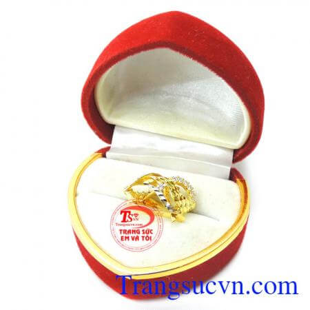 Hoa tai giọt nước vàng