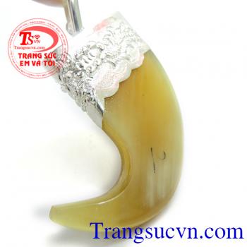 Nanh bọc bạc to đẹp