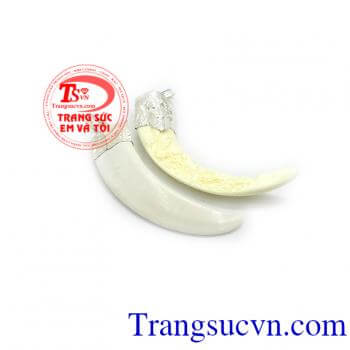 Nanh bạc khắc rồng