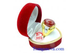 Nhẫn Nam Vàng Tây sang trọng