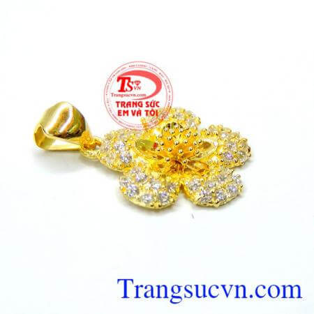 Mặt vàng bông mai