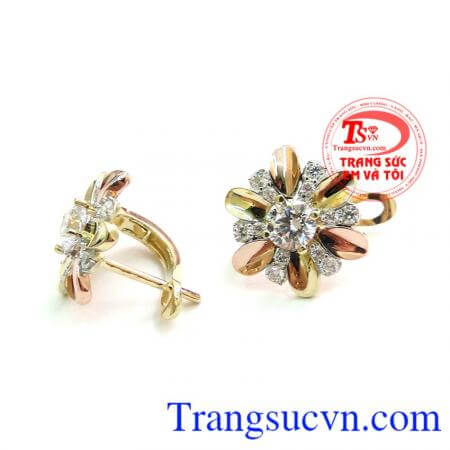 Bán Đôi Hoa Tai Vàng Nữ Trẻ Trung chất lượng vàng đảm bảo.