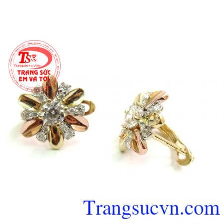 Đôi Hoa Tai Vàng Nữ Trẻ Trung