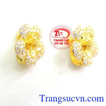 Bông Tai Cánh Mai Vàng loài hoa gọi mùa xuân về,đem may mắn cho mọi người trong nắng xuân,