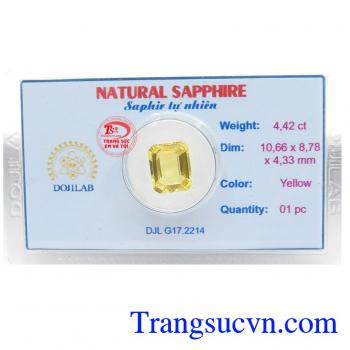 Viên Sapphire Vàng Ép Vỉ Đẹp