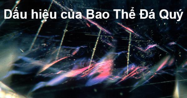 Dấu hiệu của Bao Thể Đá Quý