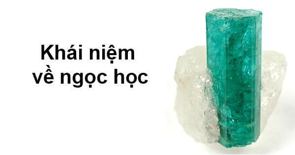 Khái niệm về ngọc học