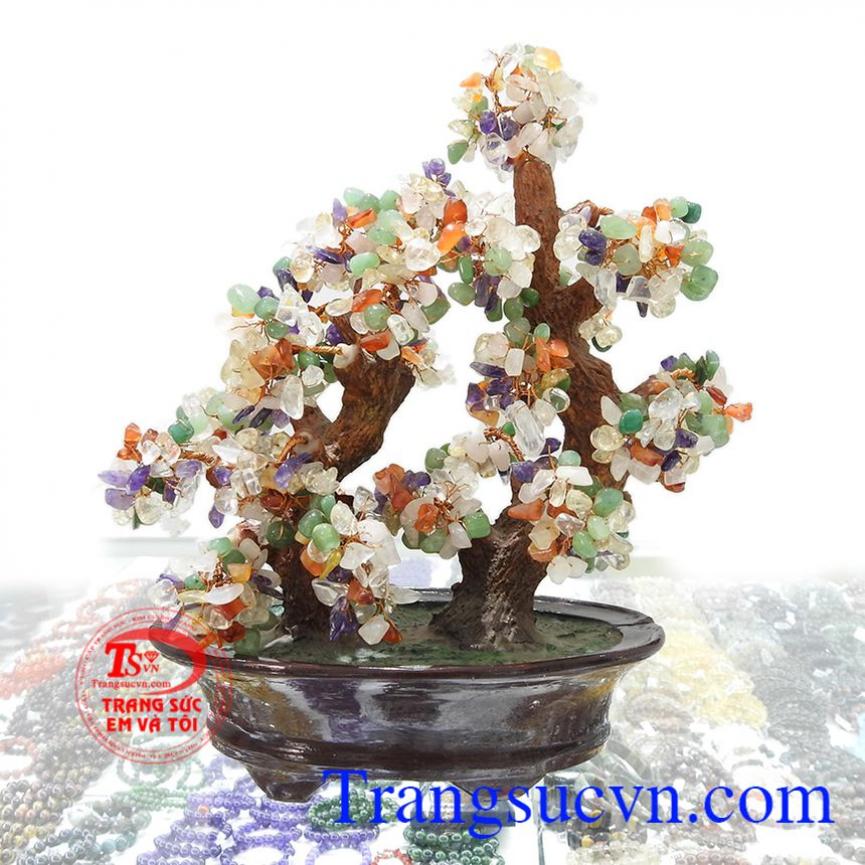 Cây Tài Lộc Ngũ Hành