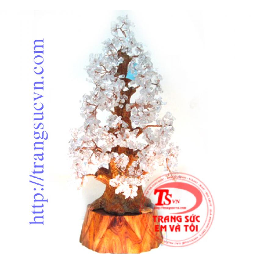 Cây thạch anh hồng đẹp