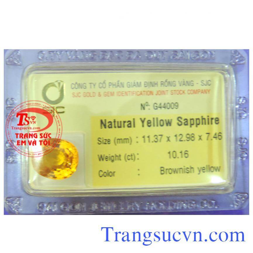Viên Sapphire vàng 10 ct