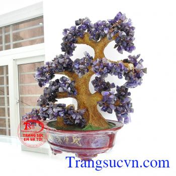 Cây Thạch Anh Tài Lộc Bình An