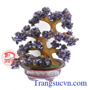 Cây Thạch Anh Tài Lộc Bình An