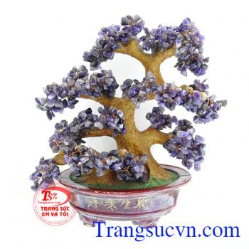 Cây Thạch Anh Tài Lộc Bình An