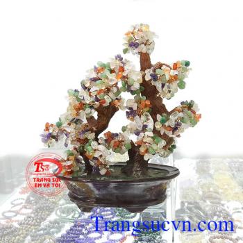 Cây Tài Lộc Ngũ Hành