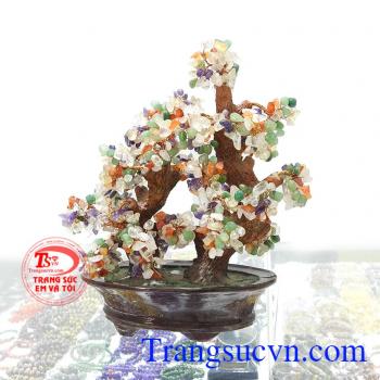 Cây Tài Lộc Ngũ Hành