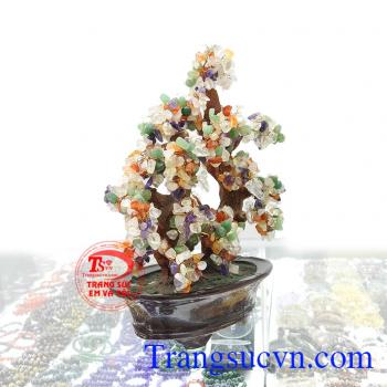 Cây Tài Lộc Ngũ Hành