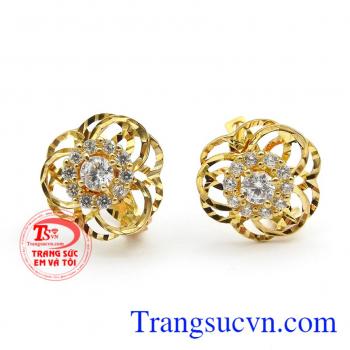 Hoa tai mai vàng đẹp