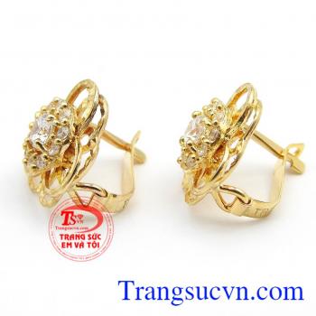 Hoa tai mai vàng đẹp