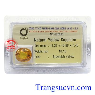 Viên Sapphire vàng 10 ct