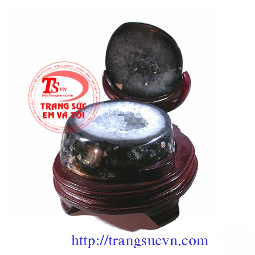 Động mã não Braxinz