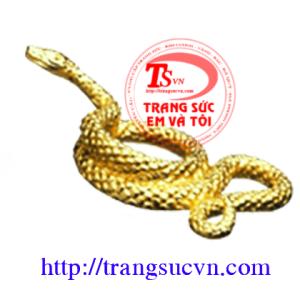 Tuổi Tỵ Vàng 99.9