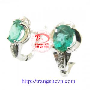 Hoa tai Emerald tài lộc