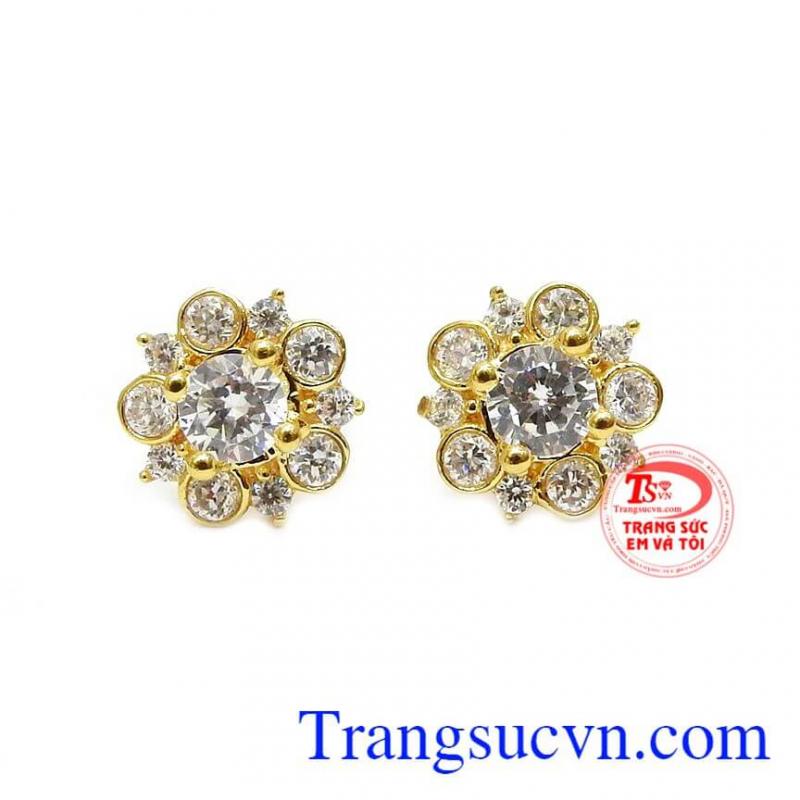 Hoa tai vàng rạng rỡ