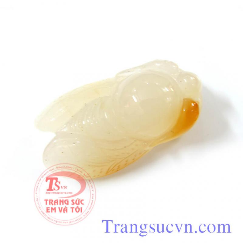 Ve sầu mã não đẹp