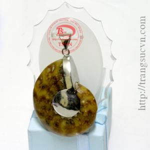 Ốc anh vũ hóa thạch