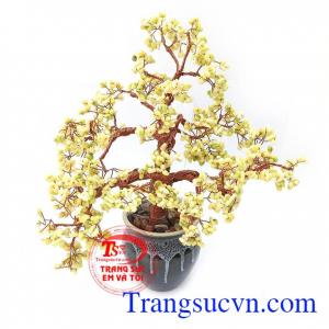 Cây tài lộc có tác dụng tốt cho trí tuệ, ổn định tinh thần, mang lại bình an, may mắn và tài lộc