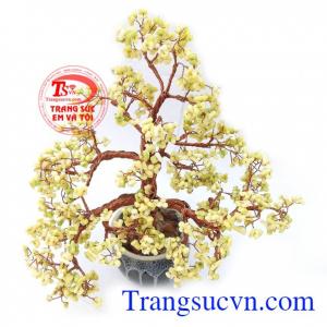 Cây Tài Lộc Cát Tường kiểu dáng đẹp, hợp phong thủy