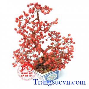 Cây tài lộc đá thiên nhiên hợp phong thủy