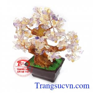 Cây Đá Quý Thịnh Vượng đá thạch anh phù hợp làm đồ trang trí đẹp, hợp phong thủy