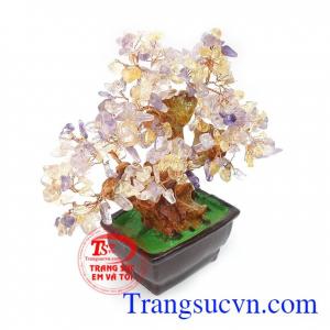 Cây Đá Quý Thịnh Vượng vừa là đồ trang trí vừa có ý nghĩa phong thủy, thường được trưng bày phòng khách, cửa hàng, bàn làm việc