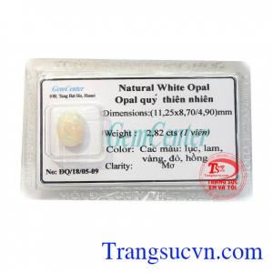 Viên opal thiên nhiên đẹp với nhiều sắc màu lục, lam, vàng, đỏ, hồng vô cùng lấp lánh