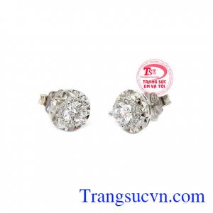 Hãy dành tặng món quà ý nghĩa này cho người thân của bạn