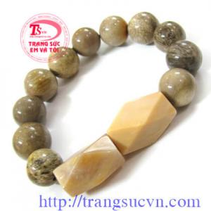 Vòng Gỗ hóa thạch