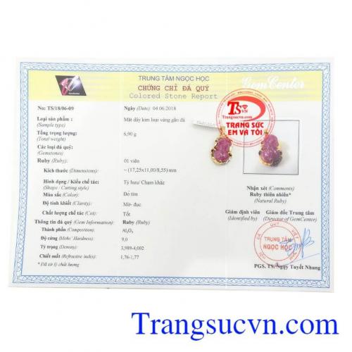 Giấy kiểm định Mặt Dây Tỳ Hưu Ruby An Nhiên