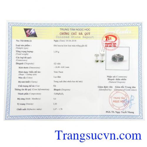 Giấy kiểm định Hoa Tai Diopsite May Mắn